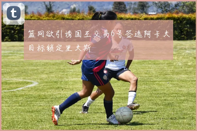 篮网欲引诱国王交易6号签选阿卡夫目标锁定里夫斯